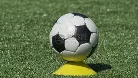 马来西亚羽毛球赛：中国羽毛球队夺四金三银